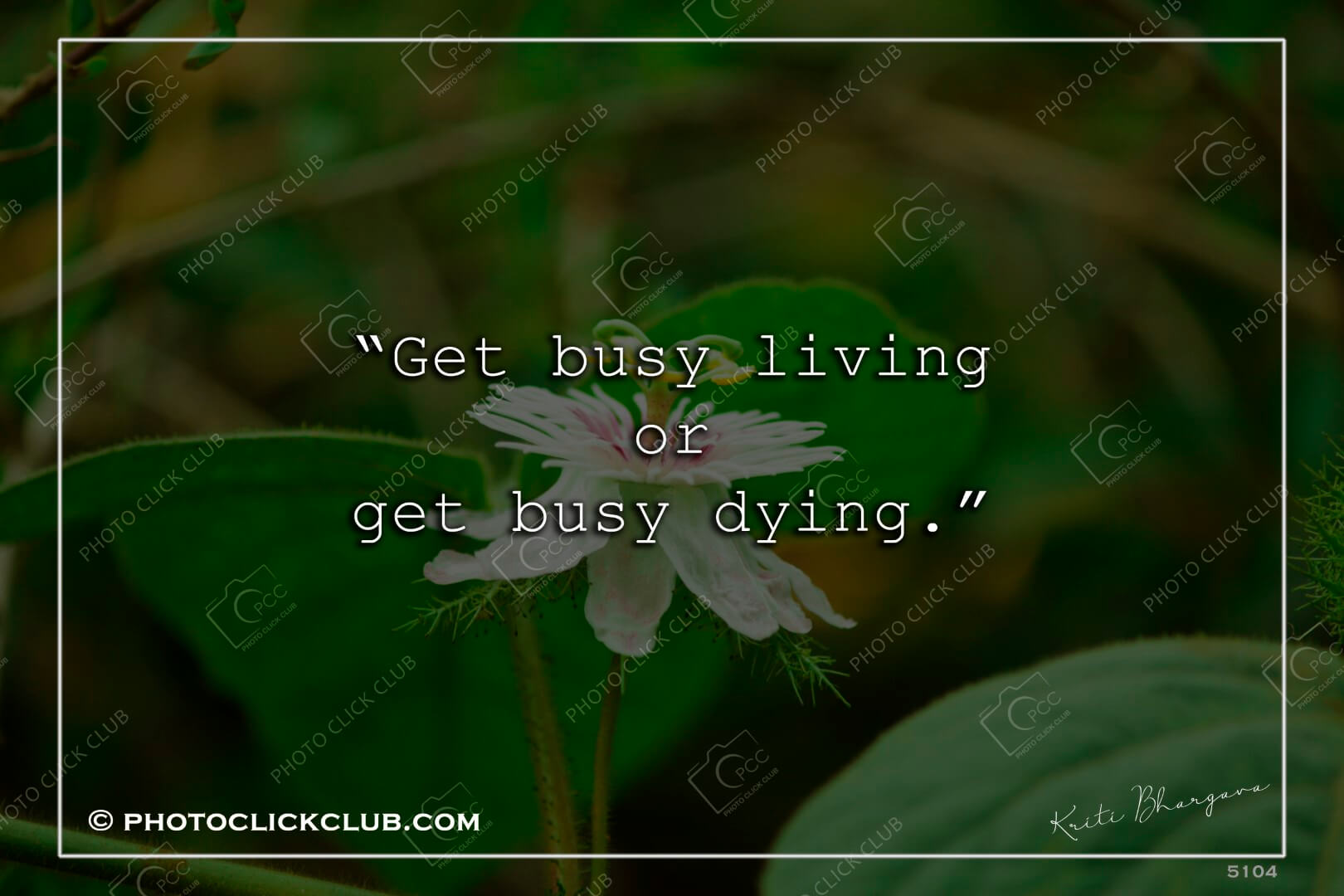 Living and Dying Quotes - by photoclickclub